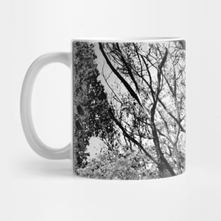 A Woodland Dance Mug